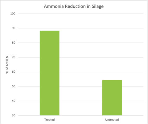 Ammonia reduction in silage